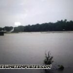 121 hektare lahan persawahan rusak akibat banjir di Pasaman Barat