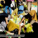 Mentan pastikan tim bergerak cepat salurkan bantuan pangan ke Sumatera