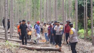 Kapolda Riau Usut Tuntas Kematian Gajah Sumatera di Pelalawan